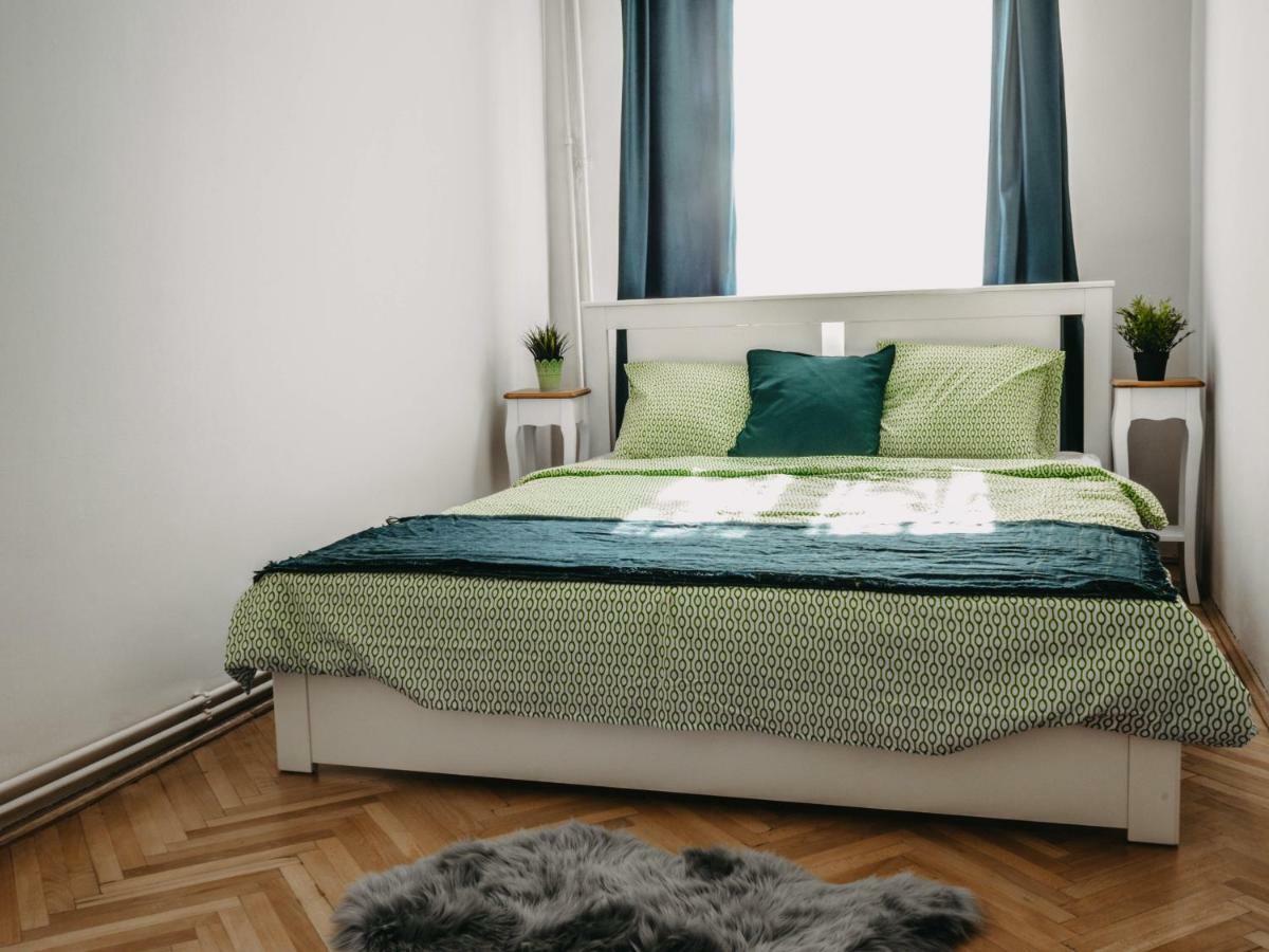Business And Travel Central Apartment Timisoara Bagian luar foto
