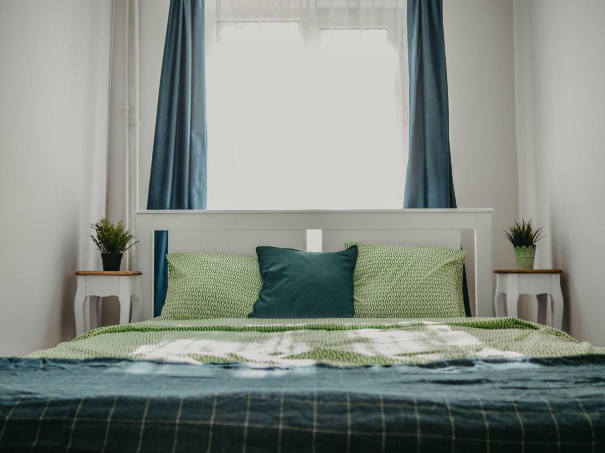 Business And Travel Central Apartment Timisoara Bagian luar foto