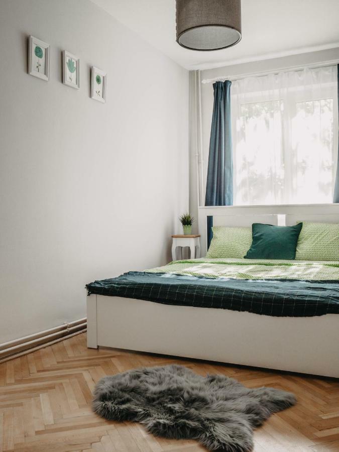Business And Travel Central Apartment Timisoara Bagian luar foto
