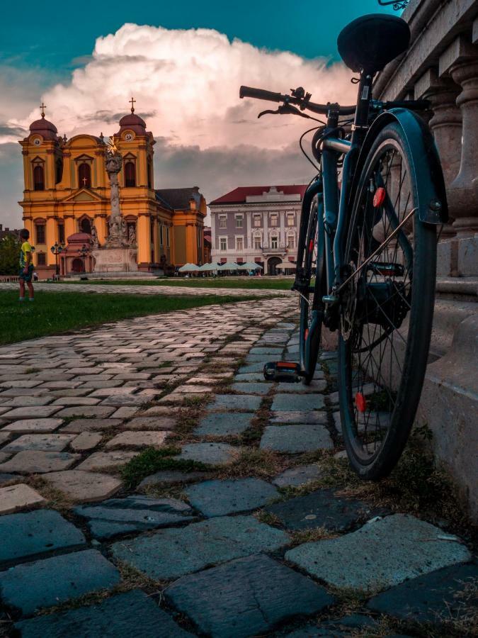 Business And Travel Central Apartment Timisoara Bagian luar foto