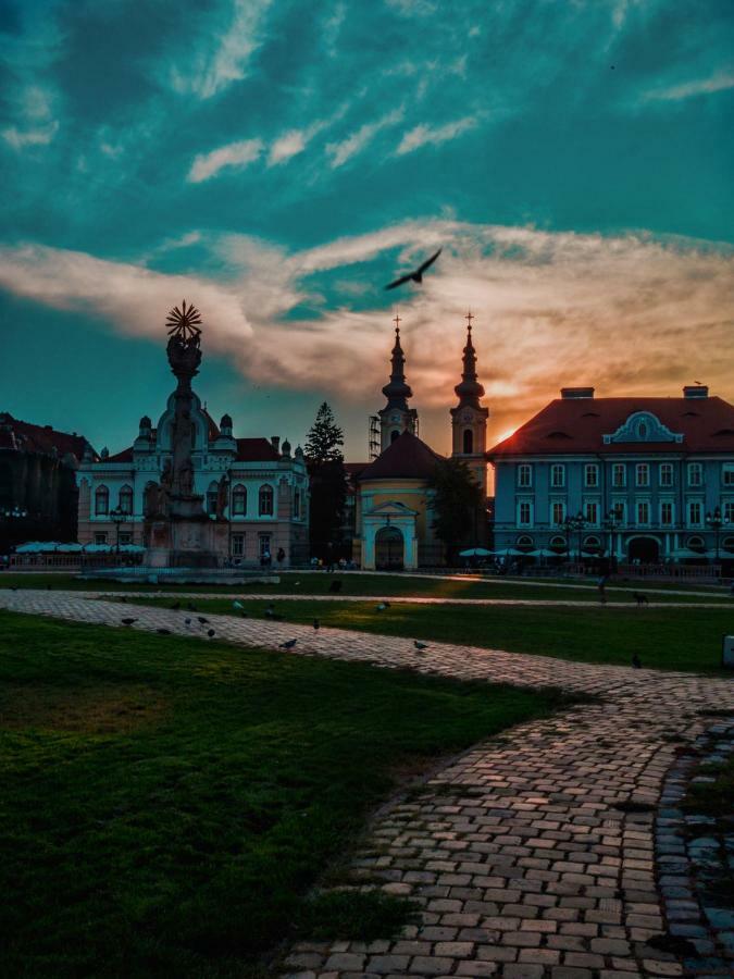 Business And Travel Central Apartment Timisoara Bagian luar foto