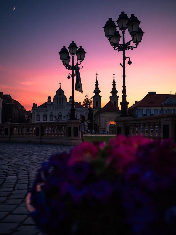 Business And Travel Central Apartment Timisoara Bagian luar foto