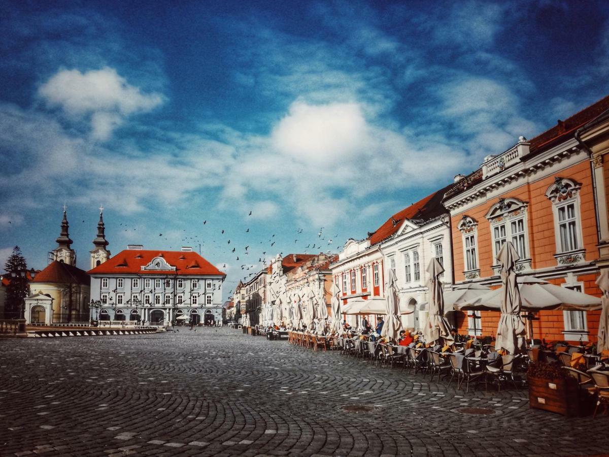 Business And Travel Central Apartment Timisoara Bagian luar foto