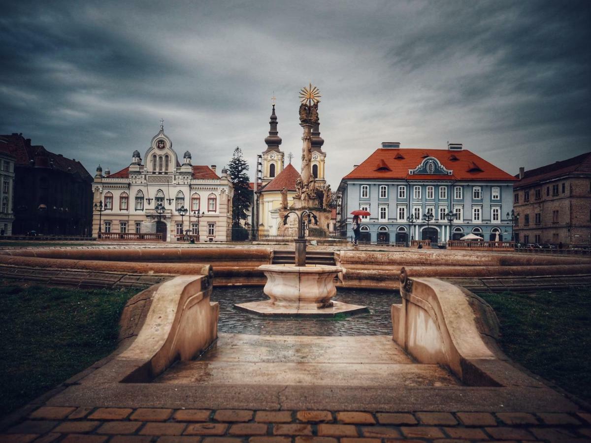 Business And Travel Central Apartment Timisoara Bagian luar foto